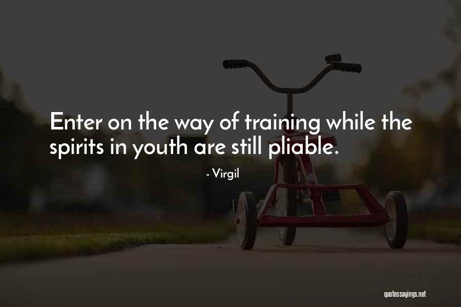 Learning In Training Quotes By Virgil