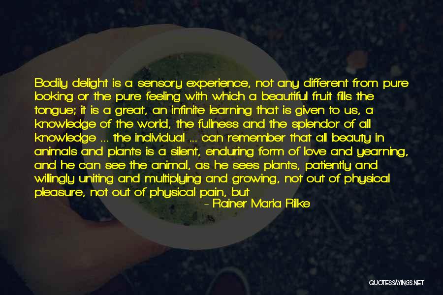 Learning Is Beauty Quotes By Rainer Maria Rilke Learning Is Beauty Quotes By Rainer Maria Rilke