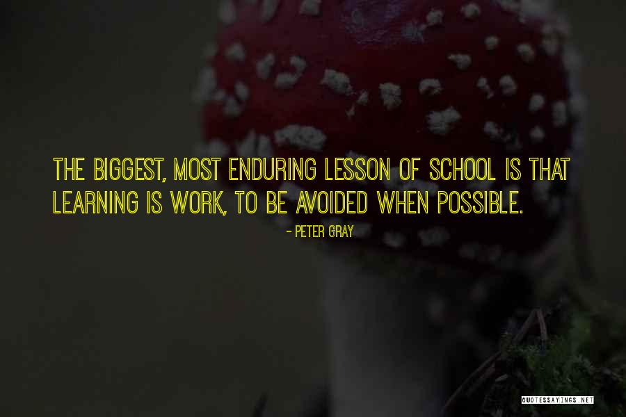 Learning Lesson Quotes By Peter Gray Learning Lesson Quotes By Peter Gray