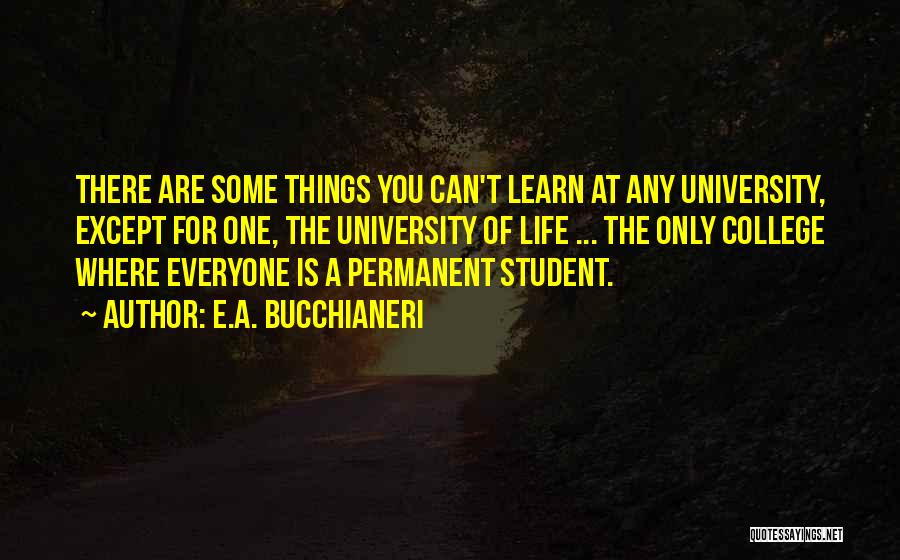 Learning Lessons From Mistakes Quotes By E.A. Bucchianeri