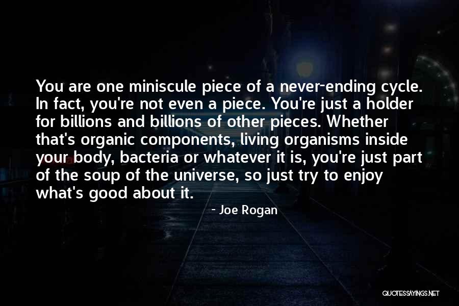 Learning New Languages Quotes By Joe Rogan Learning New Languages Quotes By Joe Rogan