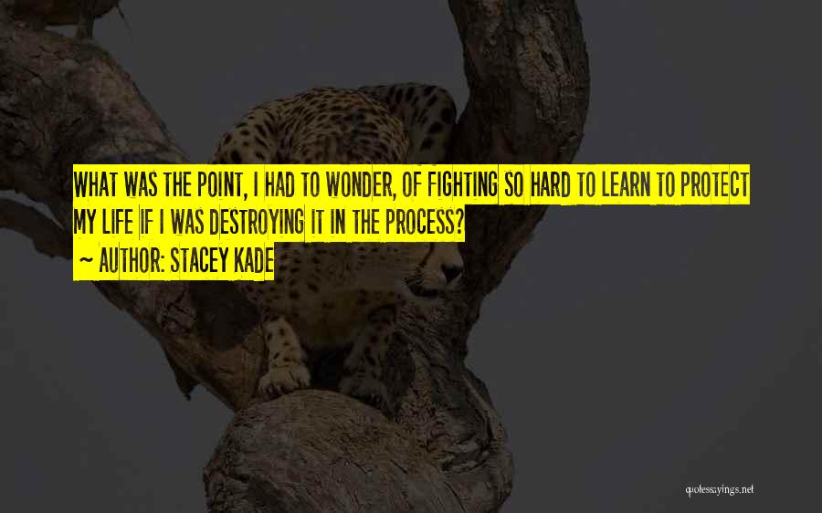 Learning Process Life Quotes By Stacey Kade