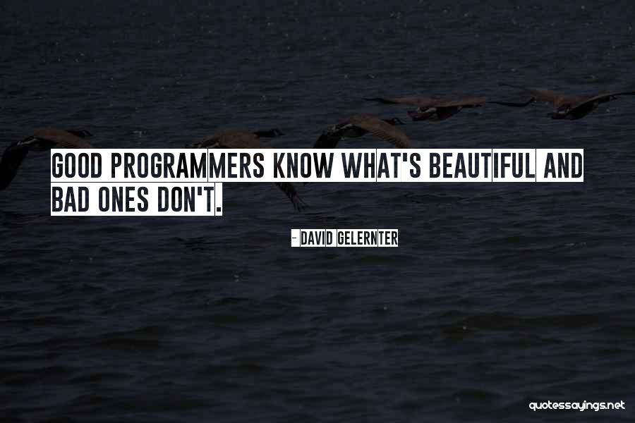 Learning Programming Quotes By David Gelernter Learning Programming Quotes By David Gelernter
