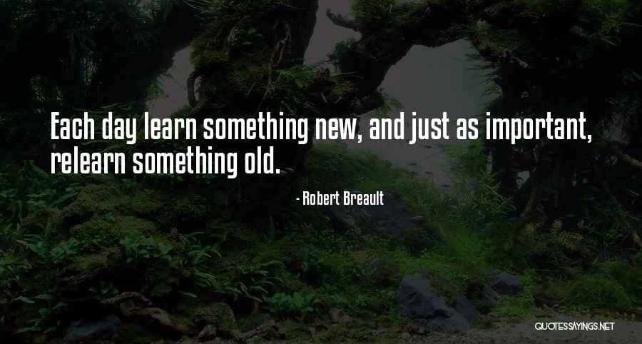 Learning Something Each Day Quotes By Robert Breault