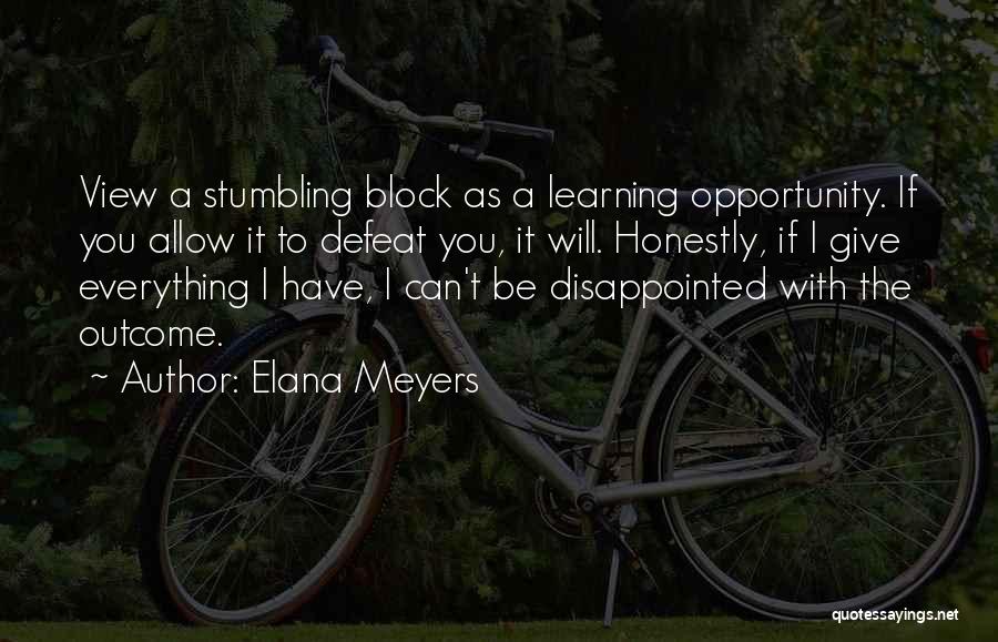 Learning Something From Someone Quotes By Elana Meyers