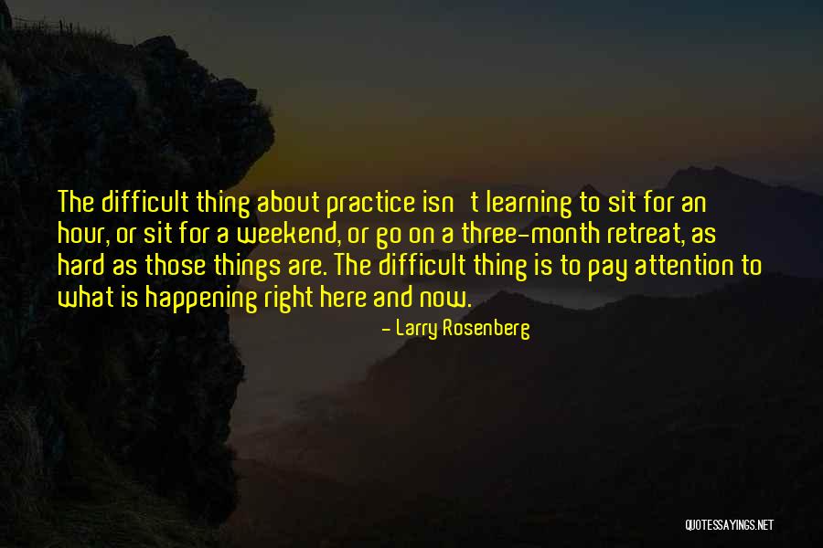 Learning Something From Someone Quotes By Larry Rosenberg