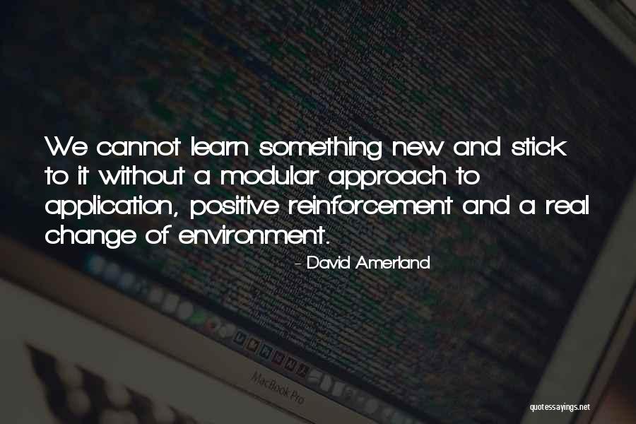 Learning Something Quotes By David Amerland