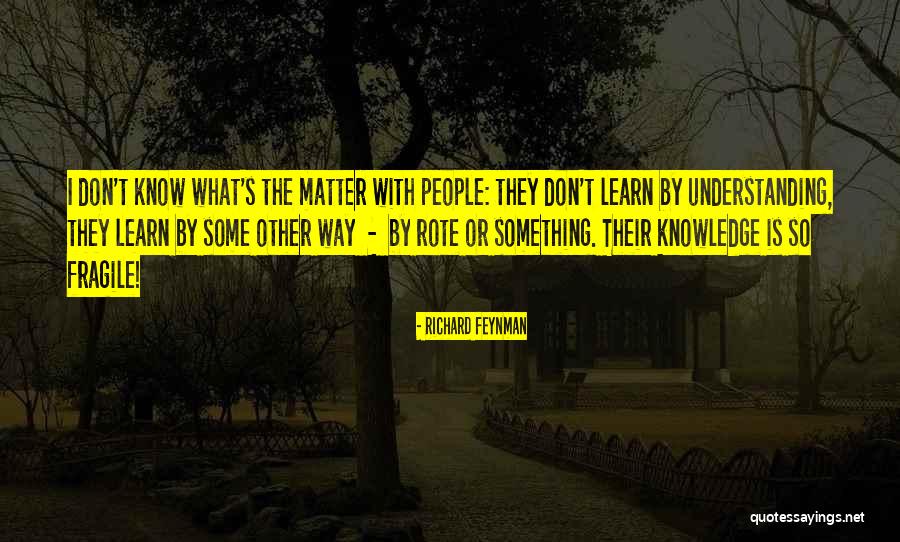 Learning Something Quotes By Richard Feynman