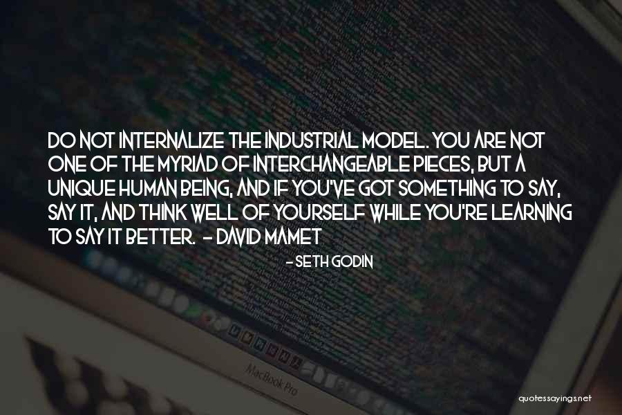 Learning Something Quotes By Seth Godin