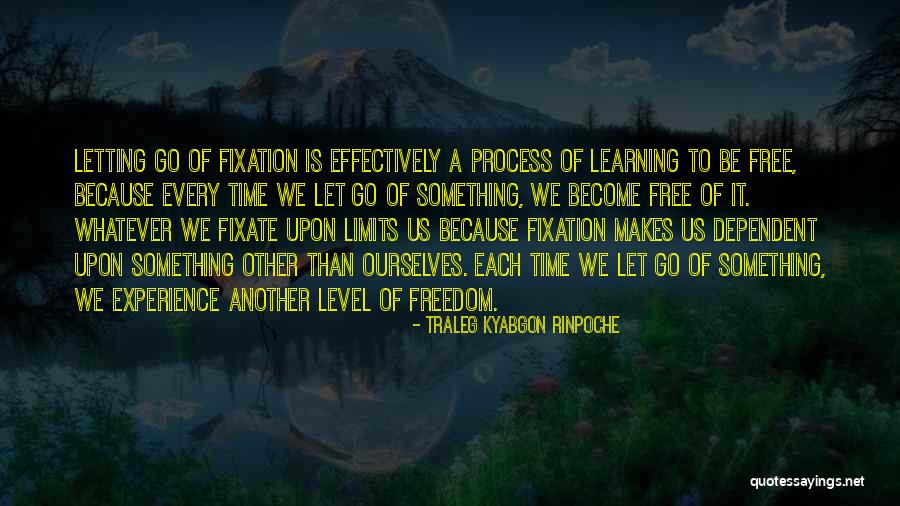Learning Something Quotes By Traleg Kyabgon Rinpoche Learning Something Quotes By Traleg Kyabgon Rinpoche