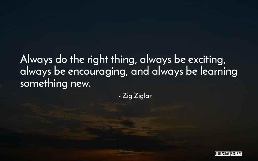 Learning Something Quotes By Zig Ziglar