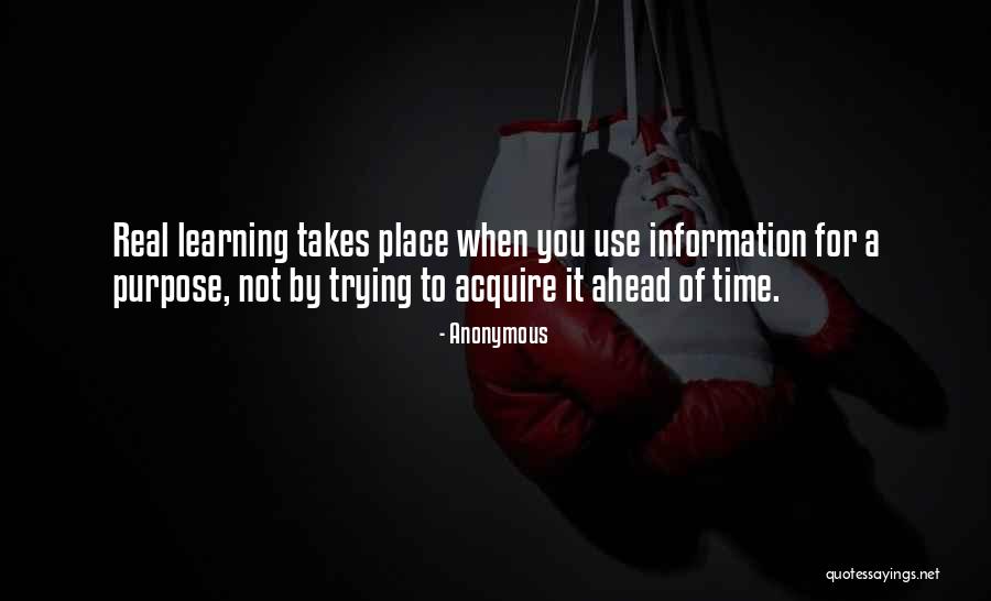 Learning Takes Time Quotes By Anonymous