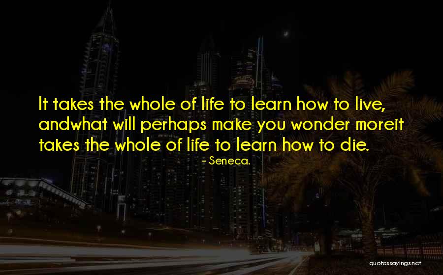 Learning Takes Time Quotes By Seneca.