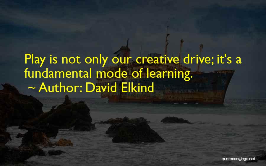 Learning The Fundamentals Quotes By David Elkind