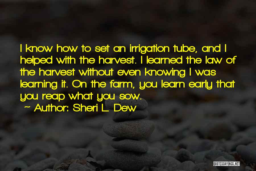 Learning The Law Quotes By Sheri L. Dew