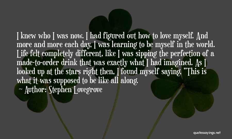 Learning To Love Myself Quotes By Stephen Lovegrove