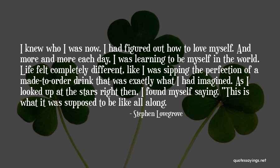 Learning To Love Myself Quotes By Stephen Lovegrove