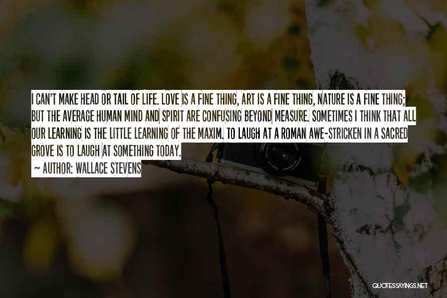 Learning To Love Something Quotes By Wallace Stevens