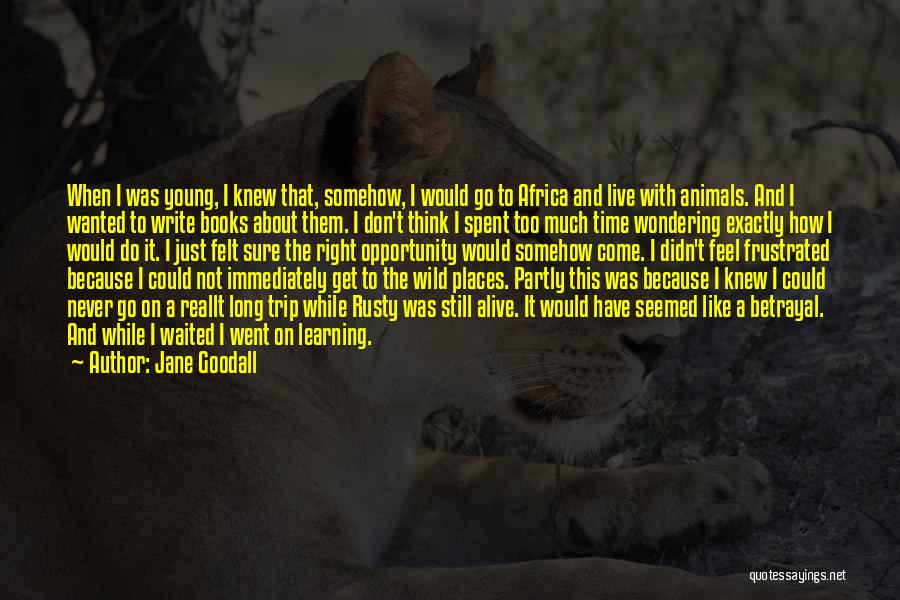 Learning To Write Quotes By Jane Goodall