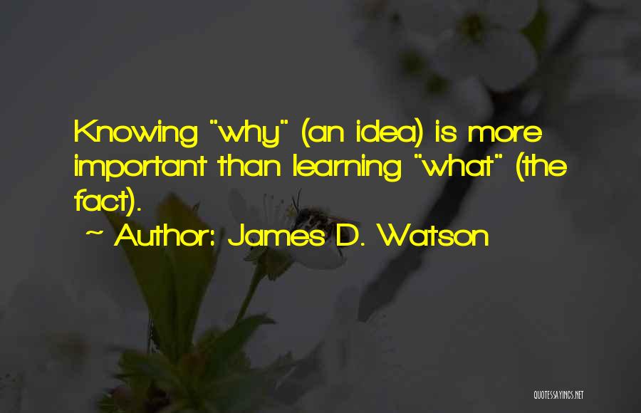 Learning What's Important Quotes By James D. Watson