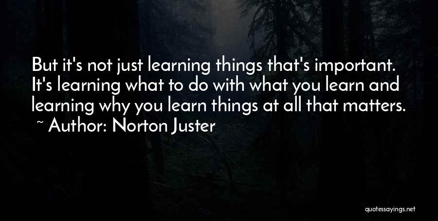 Learning What's Important Quotes By Norton Juster