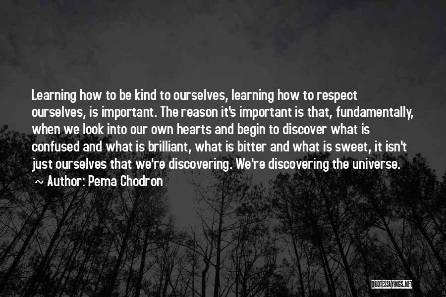 Learning What's Important Quotes By Pema Chodron