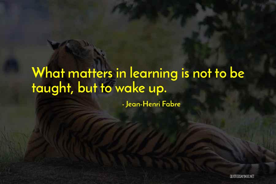 Learning Who Matters Quotes By Jean-Henri Fabre