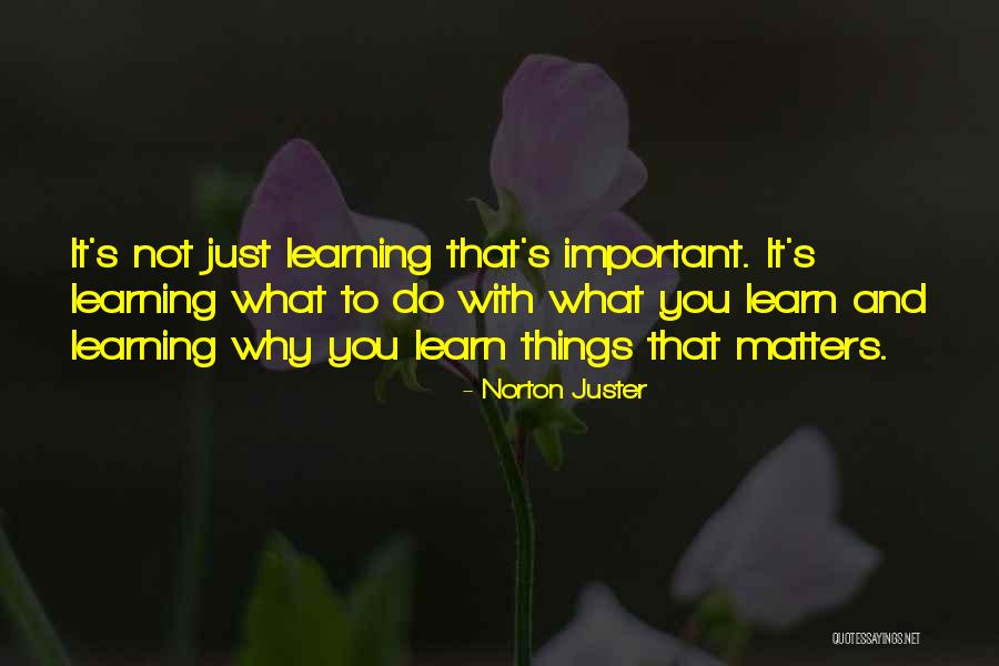 Learning Who Matters Quotes By Norton Juster