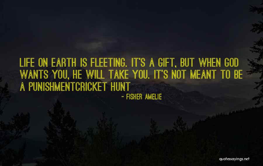 Learnings In Life Quotes By Fisher Amelie Learnings In Life Quotes By Fisher Amelie
