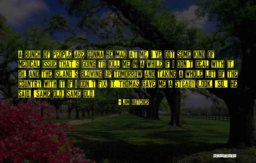 Learsi Leather Quotes By Jim Butcher Learsi Leather Quotes By Jim Butcher