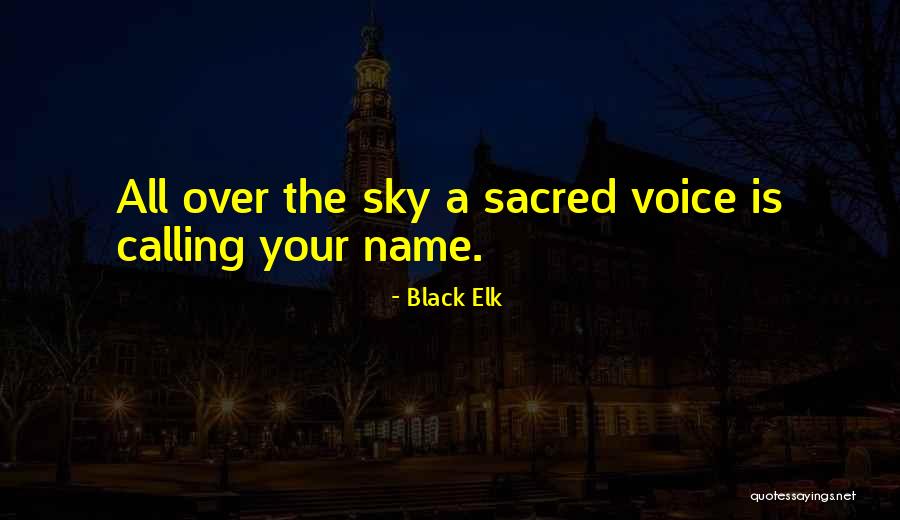 Learstar Quotes By Black Elk Learstar Quotes By Black Elk