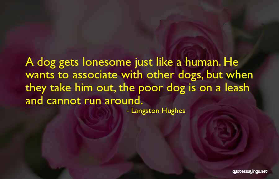 Leash Off Dog Quotes By Langston Hughes Leash Off Dog Quotes By Langston Hughes