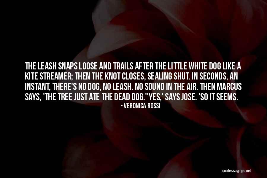 Leash Off Dog Quotes By Veronica Rossi Leash Off Dog Quotes By Veronica Rossi