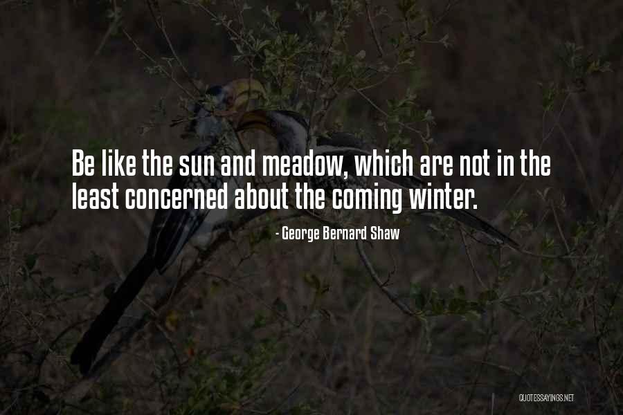 Least Concerned Quotes By George Bernard Shaw Least Concerned Quotes By George Bernard Shaw