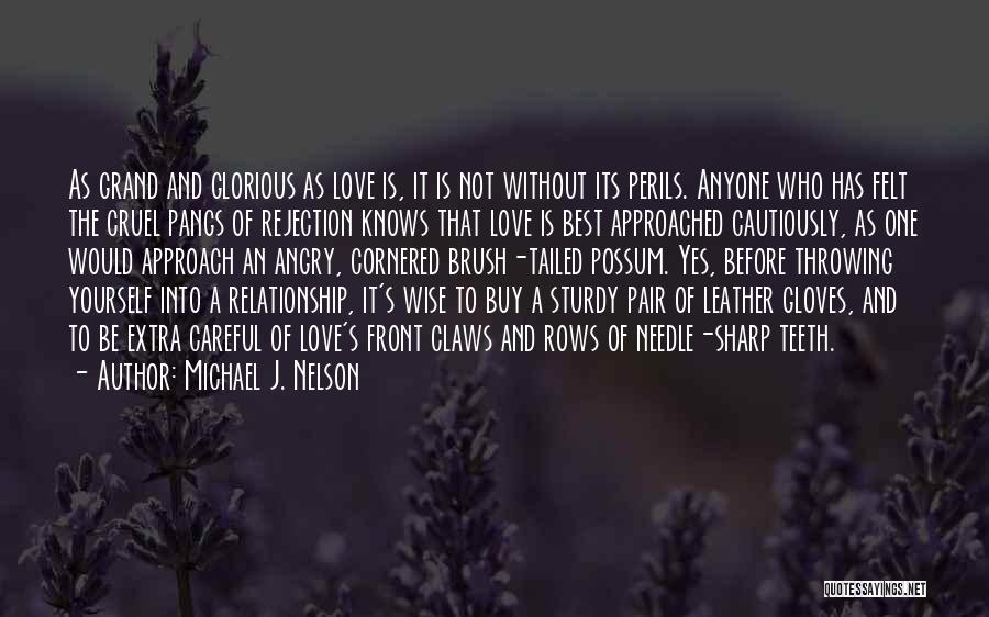 Leather Gloves Quotes By Michael J. Nelson