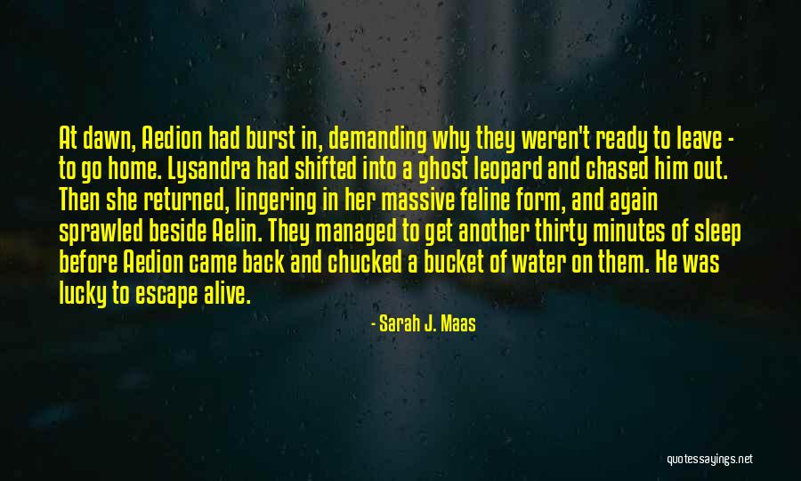 Leave Home Quotes By Sarah J. Maas