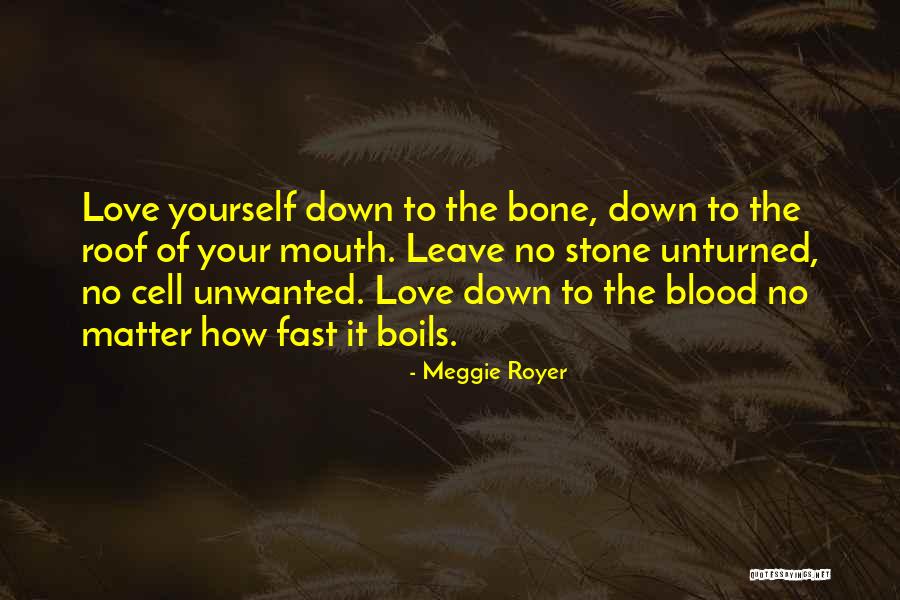 Leave No Stone Unturned Quotes By Meggie Royer