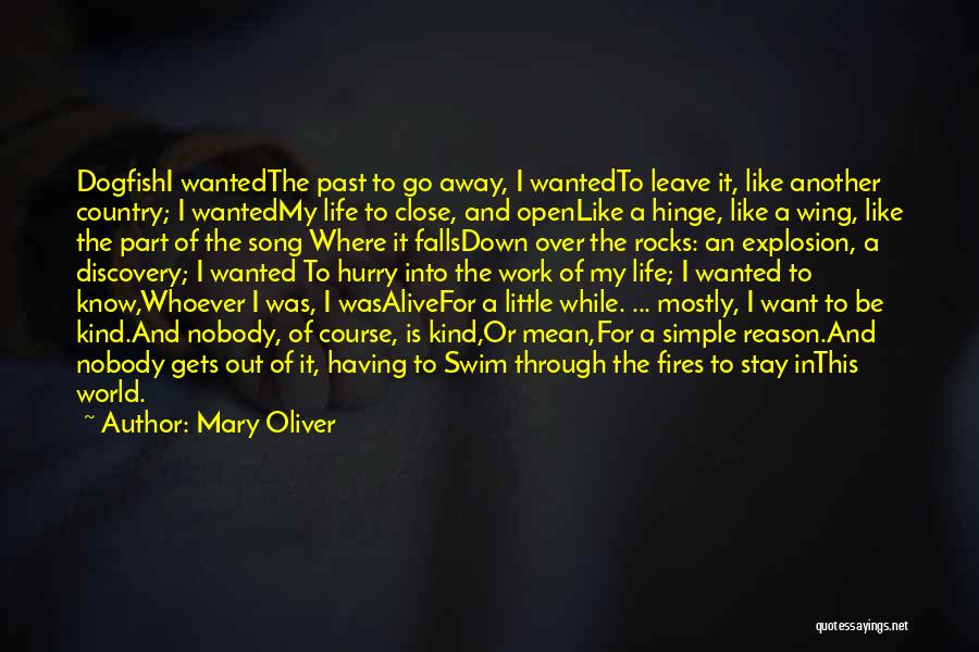 Leave Or Stay Quotes By Mary Oliver