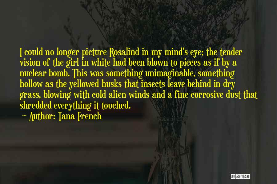 Leave The Past Behind Picture Quotes By Tana French