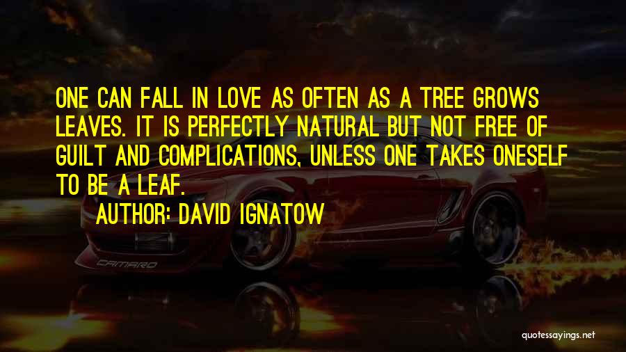 Leaves And Fall Quotes By David Ignatow