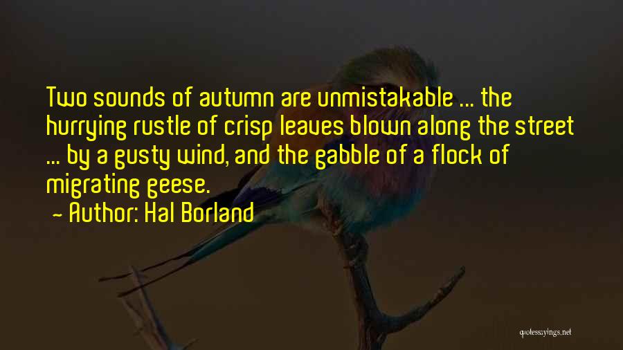 Leaves And Fall Quotes By Hal Borland