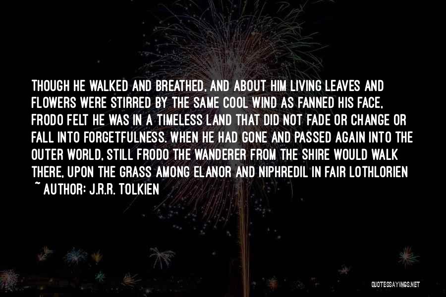 Leaves And Fall Quotes By J.R.R. Tolkien