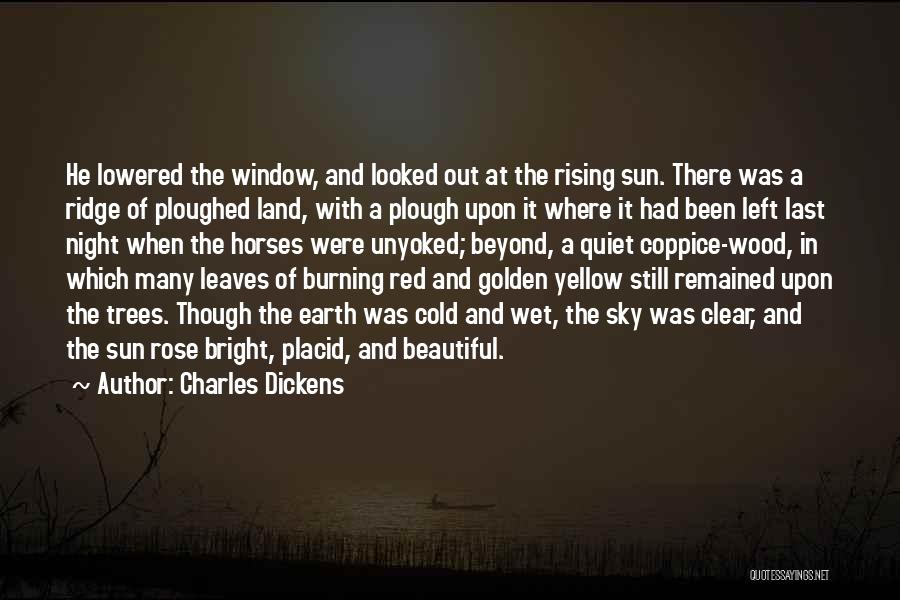 Leaves And Nature Quotes By Charles Dickens