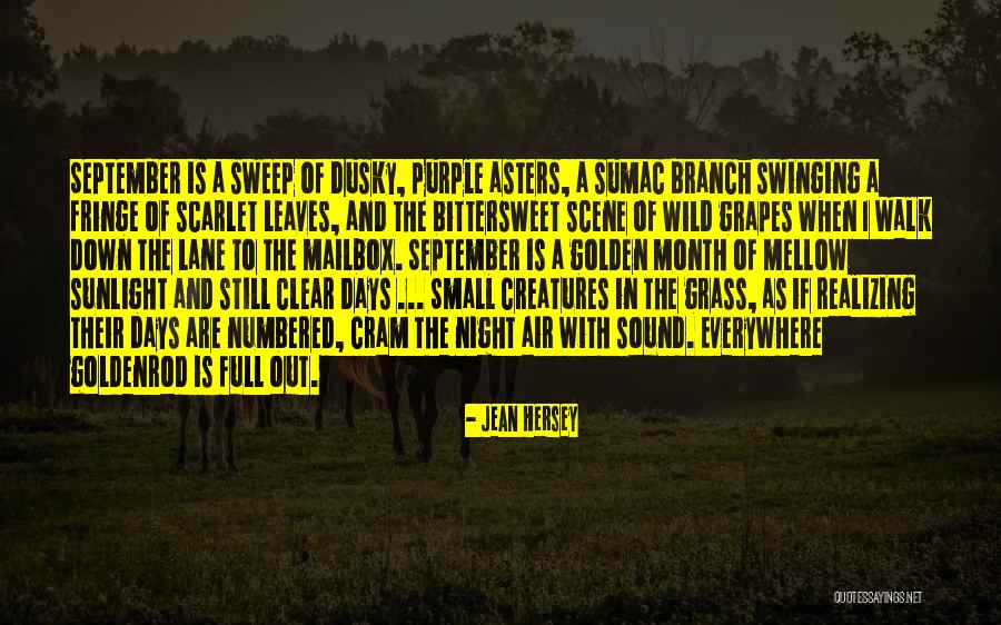 Leaves And Quotes By Jean Hersey