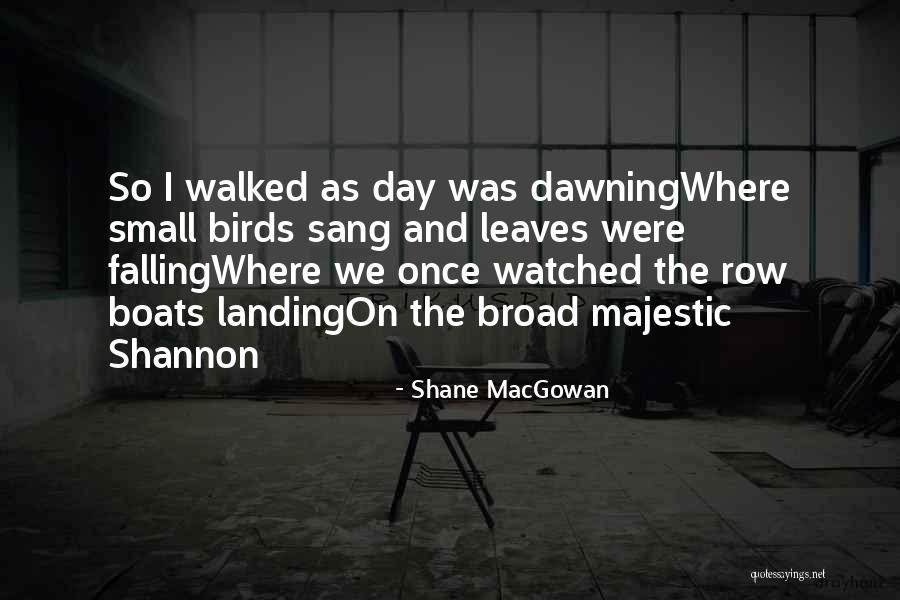 Leaves And Quotes By Shane MacGowan