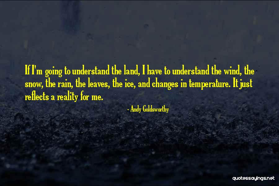 Leaves And Rain Quotes By Andy Goldsworthy