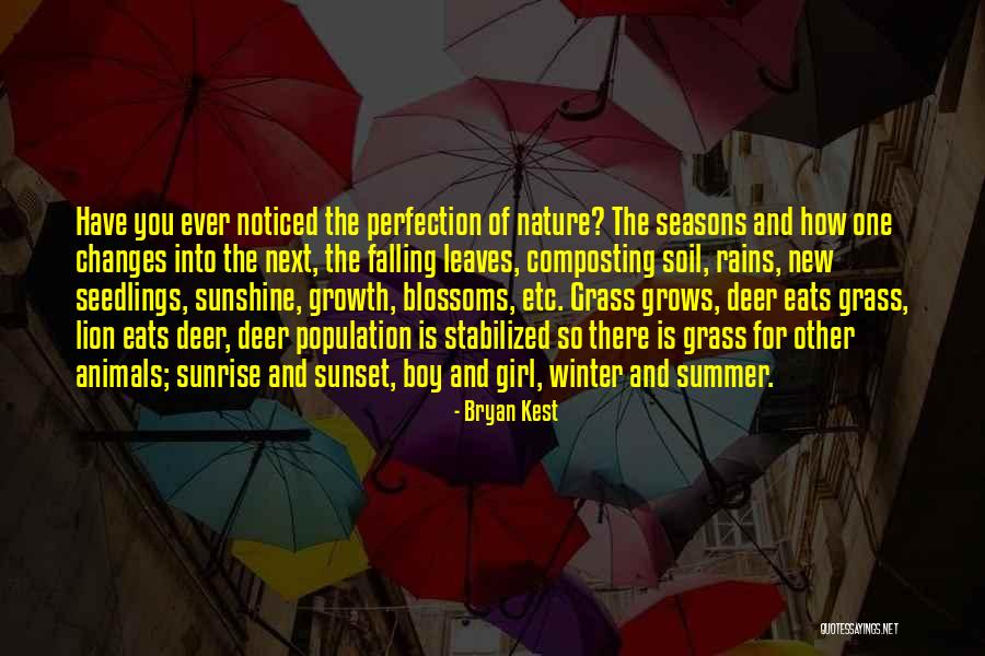 Leaves And Rain Quotes By Bryan Kest