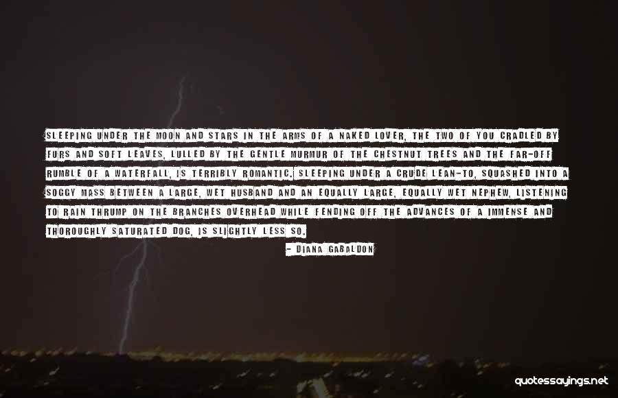 Leaves And Rain Quotes By Diana Gabaldon Leaves And Rain Quotes By Diana Gabaldon