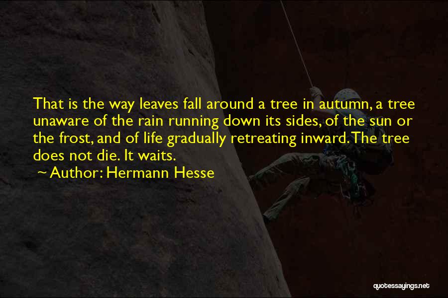 Leaves And Rain Quotes By Hermann Hesse
