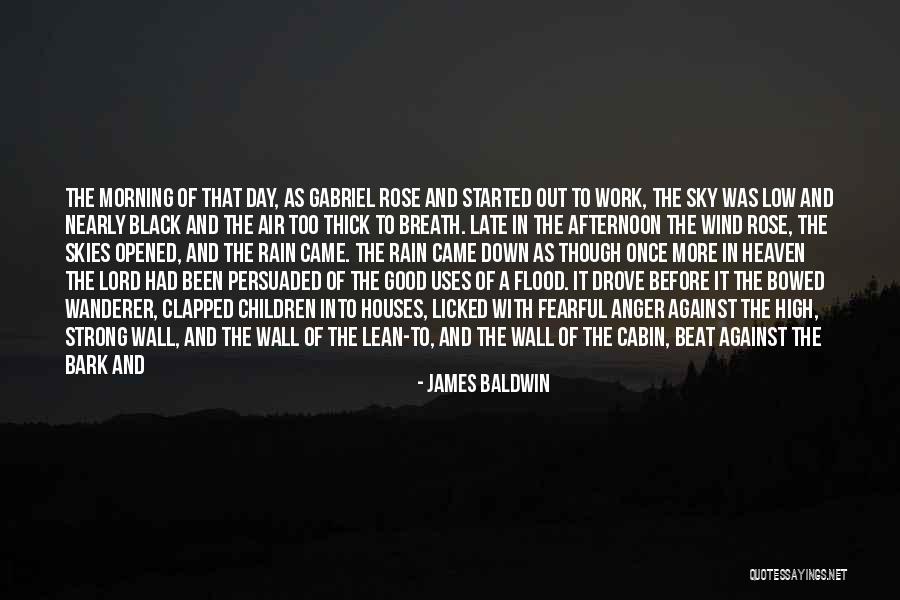 Leaves And Rain Quotes By James Baldwin Leaves And Rain Quotes By James Baldwin
